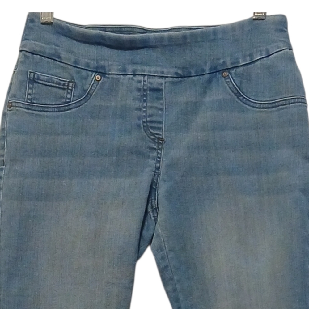 Westbound - NWOT, Denim Jeans, Front Slimming Panel, 5 Pocket Style, Size 6P - Picture 4 of 7